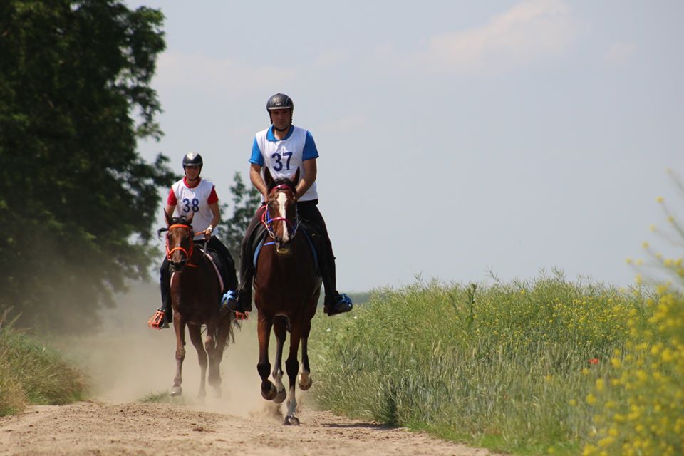 Jiří Sitta- CHIARA 1, Ivana Frolková - AKIRA1- /foto Lucie Bakulová