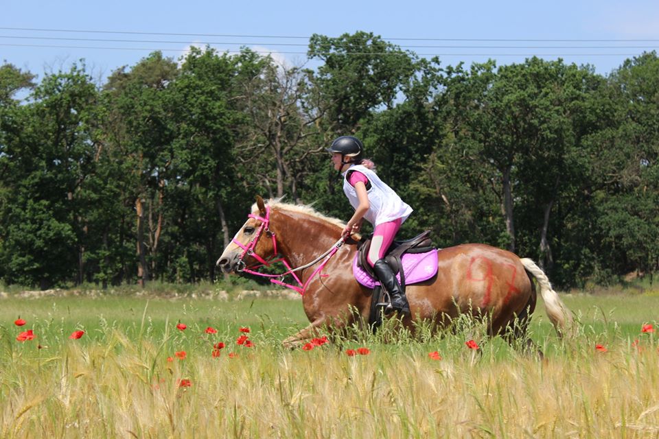 Amálie Kricnarová - NASTĚNKA Z ZAUNERLOCHU