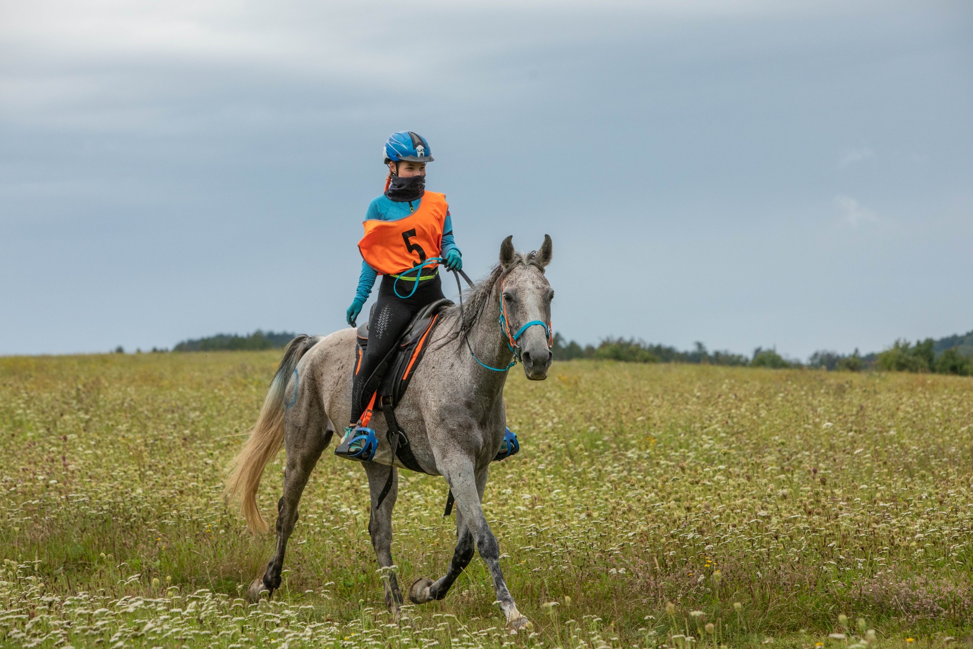 Katka Suchá - Lucia Ferra