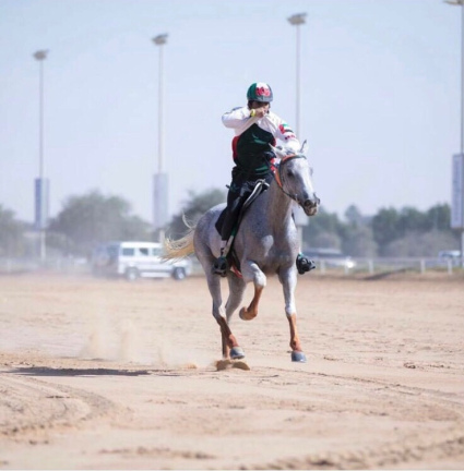 EO RAGHD - Al Junaibi, vítěz CEN 120 km Gamilati Cup 2017 